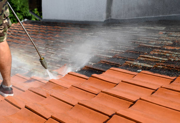 Best Deck Cleaning Services  in Evart, MI
