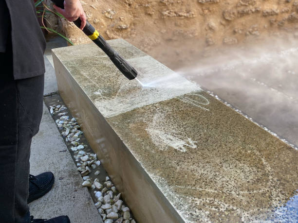 Best Roof Power Washing Services  in Evart, MI