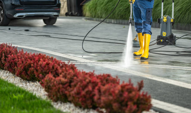 Best Deck Cleaning Services  in Evart, MI