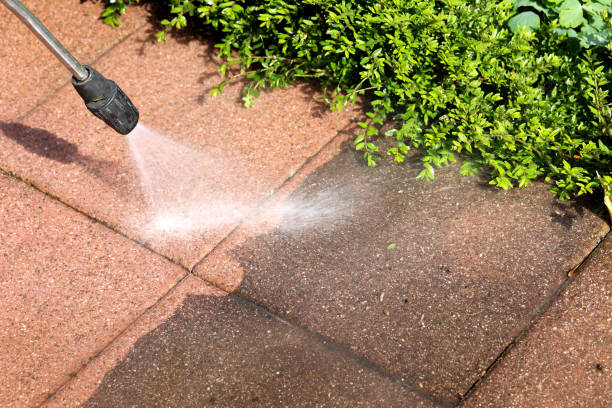 Best House Pressure Washing  in Evart, MI